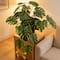 16" Premade Potted Monstera Plant by Ashland®